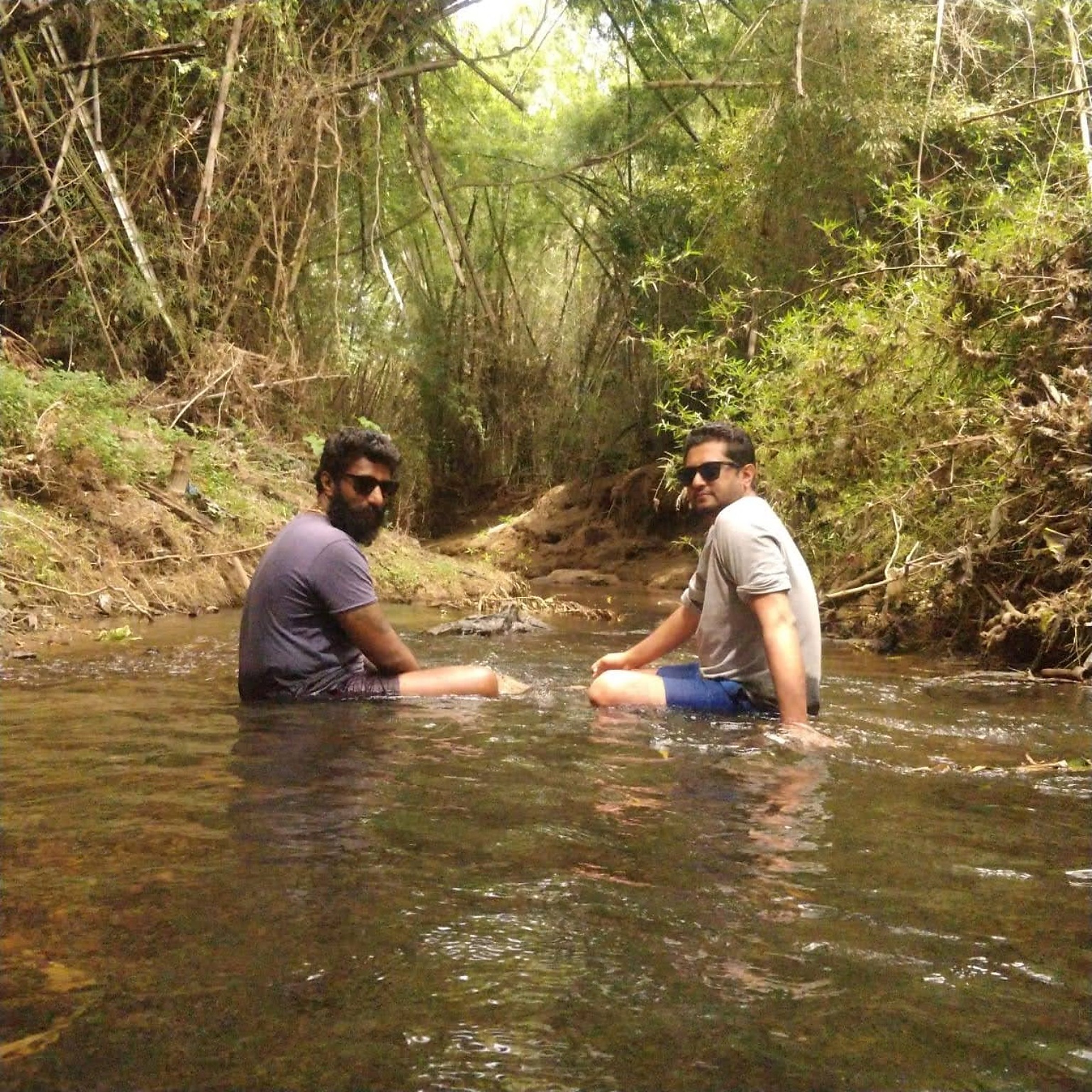 Guests enjoying a forest stream experience
