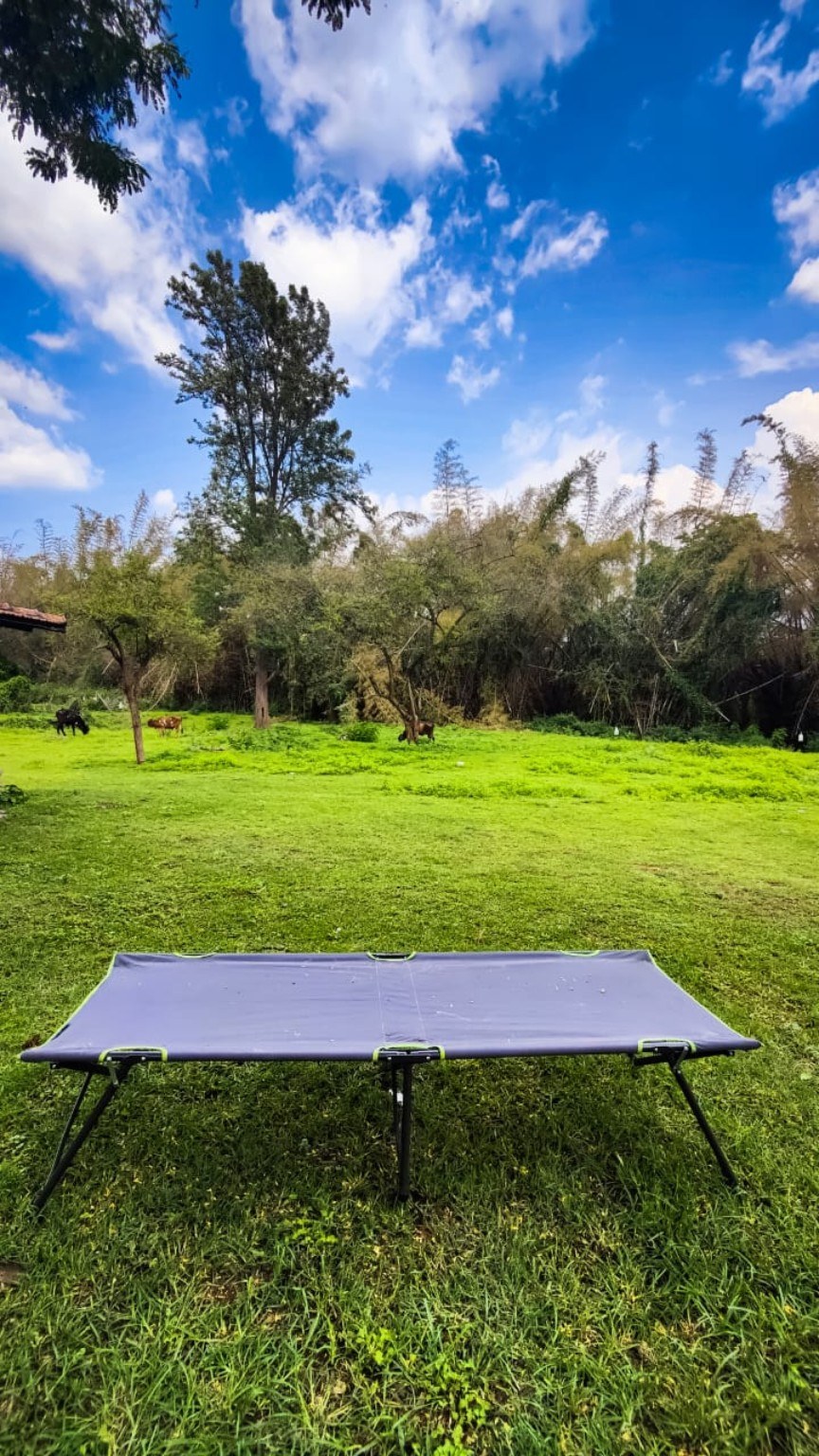 Green lawn and natural surroundings at Runnel View