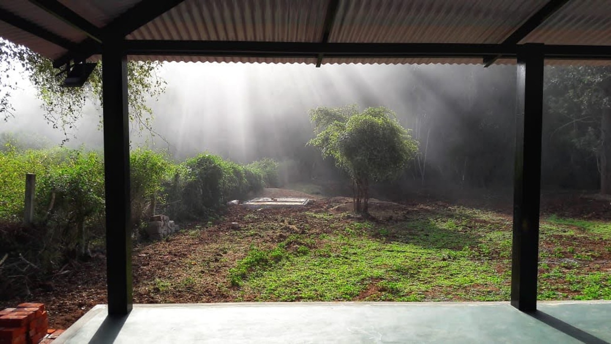 Quiet misty morning view at Runnel View